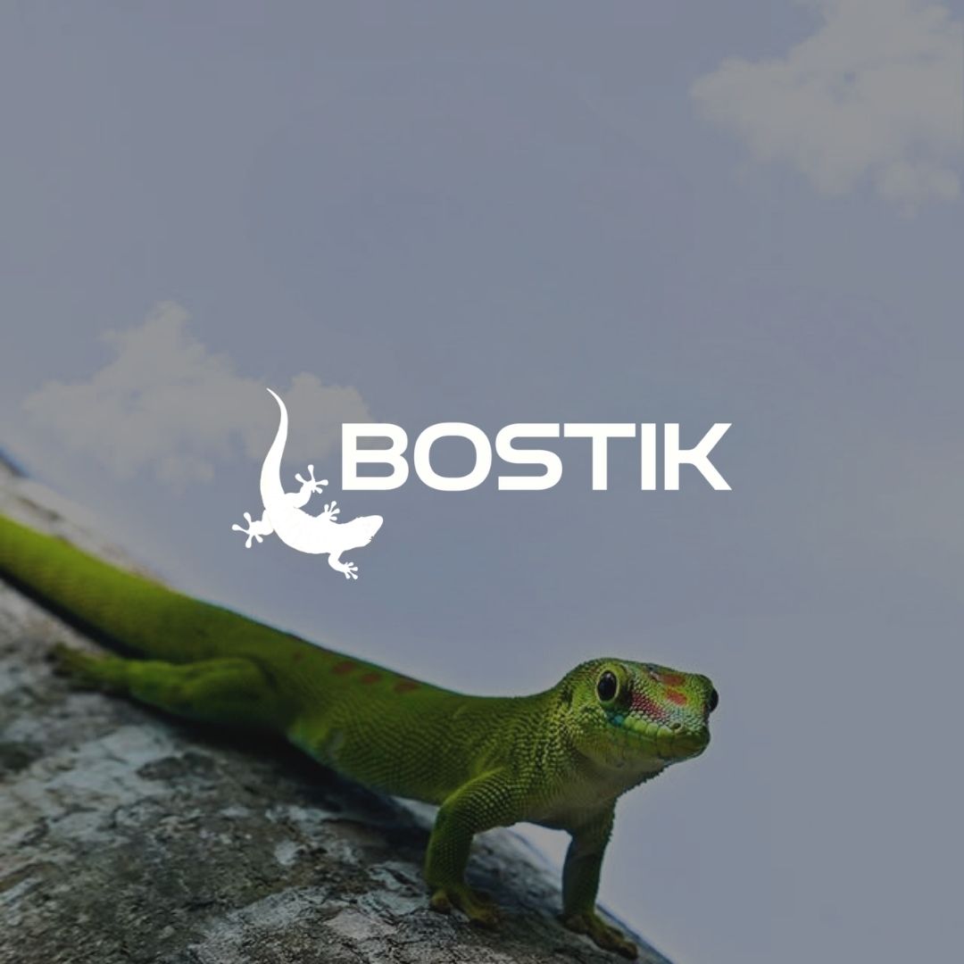 Campagne de notoriété digitale Bostik