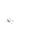 Bostik